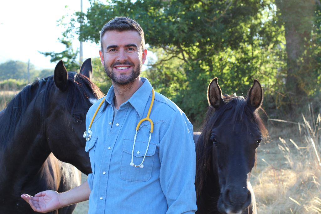 Measure your horses fitness regularly. © AJR_photo / Shutterstock