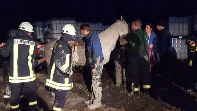 Anschließend wurde das erschöpfte Pferd noch von der Keramikmasse befreit. © Facebook Freiwillige Feuerwehr Zschoppach