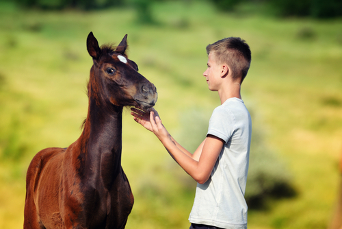 Weißt du genau was dein Pferd schon für Lebenssituationen durchlebt hat? Oft sollten wir über die Geschichte unserer Partner nachdenken! © Shutterstock / Pirita