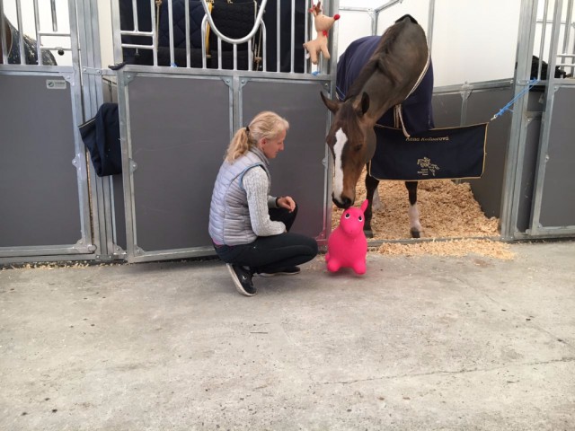 Die Pferde von Max Kühners Teamkollegin Anna Kellnerova haben PSG Futures Maskottchen ebenfalls schon ins Herz geschlossen. © Alex Stork