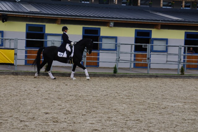 Duke Ellington (Dancier x Weltmeyer) unter Anna Kleindienst. © Karina Schröer