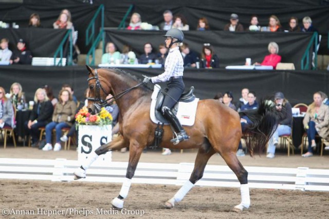 Die Teilnehmer der Clinic mit Carl Hester konnten viele wertvolle Tipps mit nach Hause nehmen. © Annan Hepner / Phelps Media Group