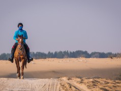 Die Boudheib Initiative soll den Distanzreitsport wieder pferdefreundlicher machen. © shutterstock / Katiekk