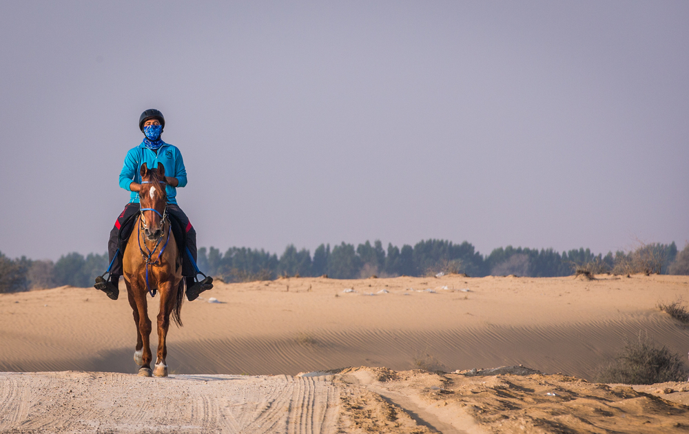 Neue Distanz-Initiative soll fairen Umgang mit Pferden fördern
