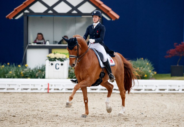 Hochkonzentriert hier Cathrine Dufour und Atterupgaards Cassidy bei ihrem Siegesritt in Hagen (GER). © Stefan Lafrentz