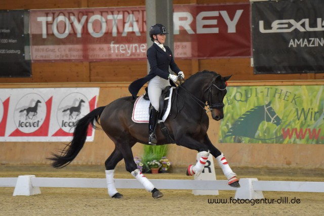 66,105% bedeuten Rang vier in der Young Rider Prüfung für die Oberösterreicherin Marlene Francz und ihr österreichisches Warmblut Show Man M. © Fotoagentur Dill