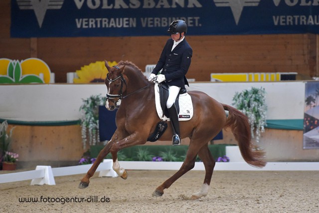 Auf Rang zwei platzierte sich der der Westfale Fred the Red (Franziskus x xFlorestan) aus dem Besitz von Ulla Salzgeber unter Frank Freund (GER). © Fotoagentur Dill