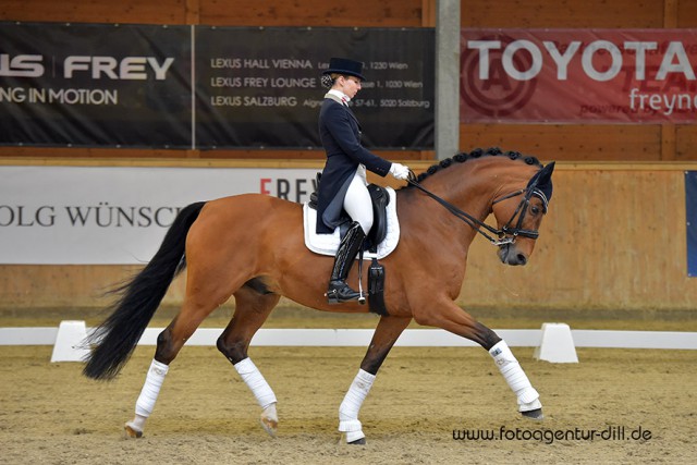 Franziska Fries belegte mit Alassios Boy schließlich Platz sieben. © Fotoagentur Dill