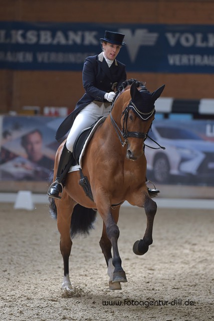 Franziska Fries (AUT) wurde mit Alassios Boy in der Intermediaire I Sechste. © Fotoagentur Dill