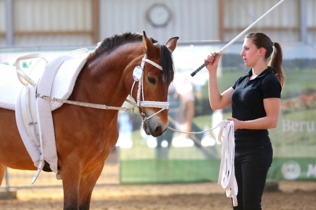 A-Kader Voltigierein Isabel Fiala hat sich beim ersten Voltigierturnier in Weigelsdorf zum ersten Mal auch als Turnierveranstalterin versucht. Mit Erfolg war der einhellige Tenor. © Andrea Fuchshumer