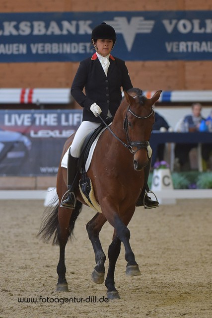 Der Österreichische Warmblutwallach Jedermann (Johnson x Riccione) erhielt im Galopp eine 8,2 und belegte unter seiner niederösterreichischen Reiterin Cosima Hilscher mit 78,20% Platz zwei für Österreich. © Fotoagentur Dill