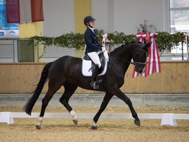 Platz zwei in der Prüfung der fünfjährigen Pferde bei den Dressage Classics in Stadl-Paura ging heute an GB Dolcino unter Melanie Hofmann (SUI). © Michael Rzepa