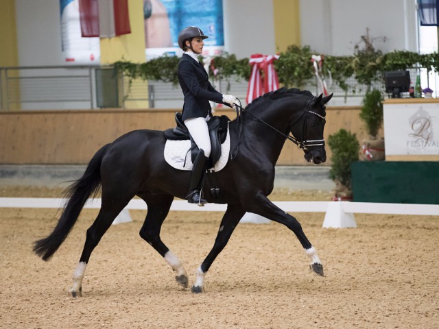 Holten heute bei den Stadl Dressage Classics Platz drei bei den sechsjährigen Pferden: Collier 4 und Ioulia Kyriaki Koudouni (GRE) mit 67,40 %. © Michael Rzepa