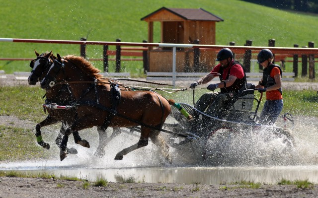 Beim CAI Viechtwang werden heuer nicht nur die ÖM Pony Ein- und Zweispänner gekürt sondern es wird auch für die WM gesichtet. © Sonja Bauer