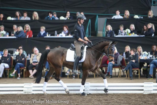 Joseph Newcomb und der vierjährige For Finland bei der Clinic mit Carl Hester. © Annan Hepner / Phelps Media Group