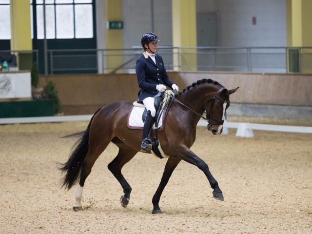 Mit einer Note von 76,80 % wurde Lisara unter Norma Paoli (ITA) heute bei den Stadl Dressage Classics Zweite bei den sechsjährigen Pferden. © Michael Rzepa
