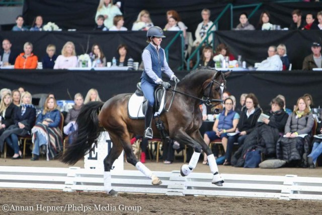 Balance ist für Carl Hester ein absolutes Muss - und zwar bei Pferd und Reiter! © Annan Hepner / Phelps Media Group