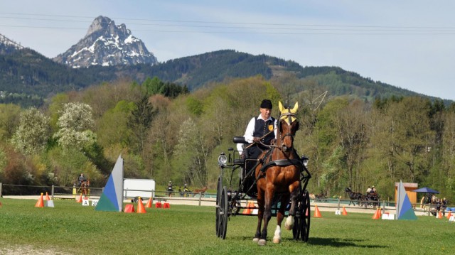 Vom 16. bis 21. Mai wird die Pferdesportanlage im idyllischen Almtal Schauplatz für großartigen Fahrsport sein! © Sonja Bauer