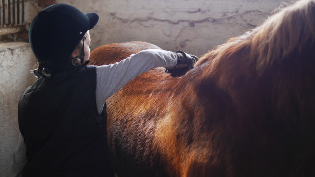 Wenn dein Kind ein Pony bekommt, dann lernt es Verantwortung zu tragen. © Shutterstock/Tanya morozz