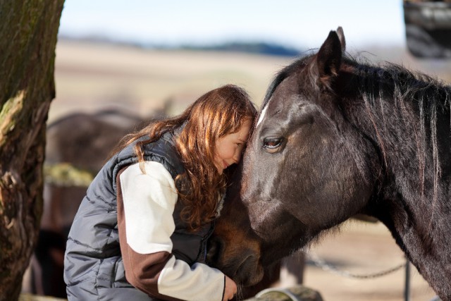 Wenn dein Kind ein Pony bekommt, dann bekommt es die Möglichkeit grenzenloses Vertrauen kennen zu lernen. © Shutterstock/cracorn