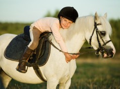 Wenn dein Kind ein Pony bekommt, dann bekommt es einen besten Freund, auf den es sich immer verlassen kann. © Shutterstock/Puhach Andrei