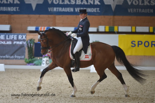 Ulrike Prunthaller (AUT) belegte mit Bartlguts Quantum auch noch den zweiten Platz in der Intermediaire I. © Fotoagentur Dill