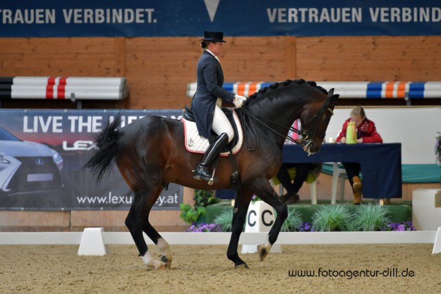 Mit Bartlguts Quebec wurde Ulrike Prunthaller im Grand Prix Neunte. © Fotoagentur Dill