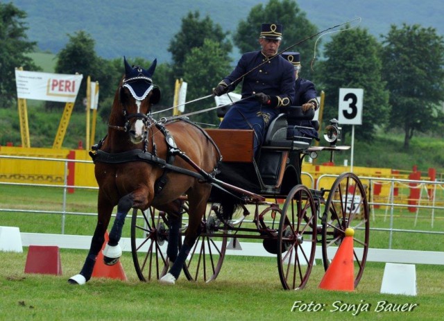 Leo Risch vom Schweizer Nationalgestüt in Avenches. © Sonja Bauer