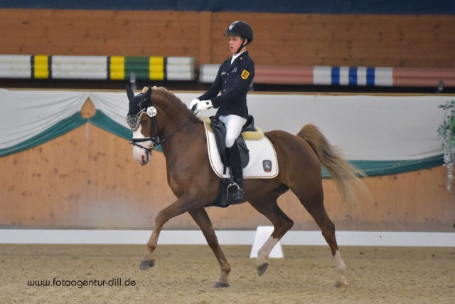 Moritz Treffinger (GER) und Top Queen H gewannen die Pony Individual Competition souverän mit 74,268%. © Fotoagentur Dill