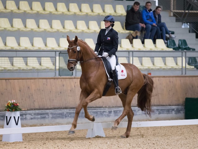 Das Siegerduo im Bewerb der sechsjährigen Pferde bei den Stadl Dressage Classics: Hana Vasaryova (CZE) und Santos Dumont (78,60 %). © Michael Rzepa