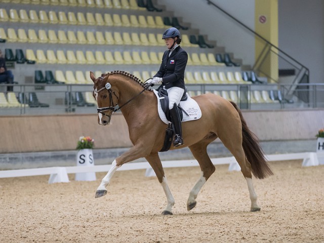 Platz zwei im Finale der siebenjährigen Pferde bei den Stadl Dressage Classics ging mit 77,54 % an Silky Moves unter dem Sattel von Hana Vasaryova (CZE). © Michael Rzepa