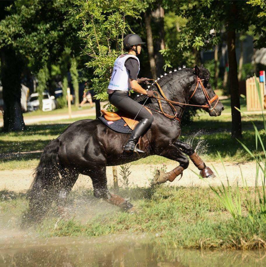 Wodano hat auch im Gelände seinen Spass. © Stephanie Wolfschütz