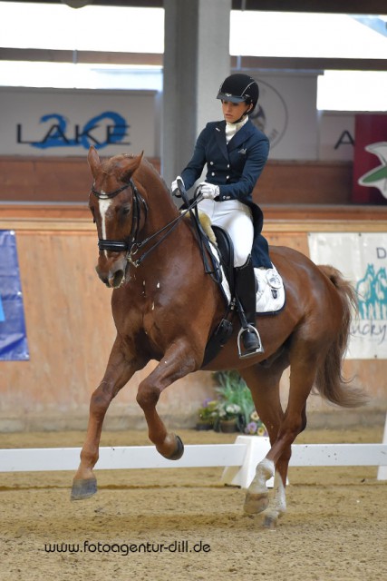 Sieg Nummer zwei in der Juniorentour für Réka Zengo (HUN) und ihren 13-jährigen Riviero II. © Fotoagentur Dill