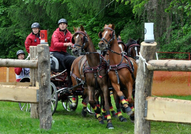 Im Pony Vierspänner war Steffen Brauchle (GER) unschlagbar. © Sonja Bauer