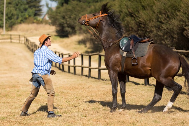 Je mehr wir von unserer Unsicherheit nach außen tragen, desto heftiger reagieren unsere Pferde. © Shutterstock michaeljung