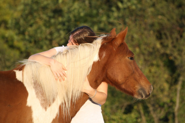 Ruhepol Pferd - was man im Umgang mit Pferden lernt, ist in allen Lebenslagen wichtig! © Adobe Stock