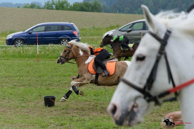 Action pur, Spannung bis zum Schluss! © RV Mounted Games OÖ