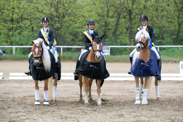 Die neuen NÖ Landesmeister der Haflinger. Lisa Pribil-Sumetsberger, Isabelle Stagl, und Manuela Reidinger. ©Buthi/Reitsportzentrum Kapellerfeld