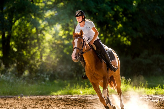 Ausdauer ist nicht nur für Pferde, sondern auch für Reiter wichtig. © shutterstock / Fotokostic
