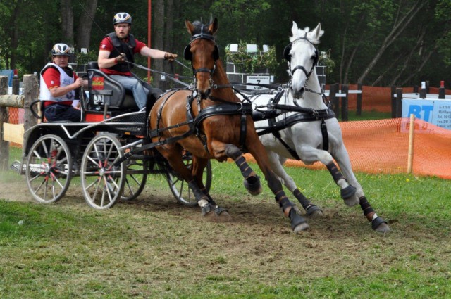 Bei den Zweispännern setzte sich beim int. Fahrturnier in Viechtwang Sebastian Warneck (GER) durch. © Sonja Bauer