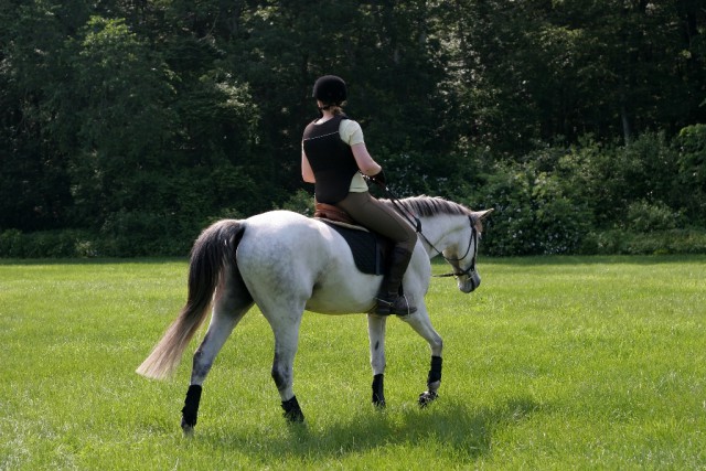 Lightly work your horse the next day, preferably on a loose rein. © Shutterstock | Joy Brown