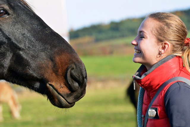 Reiten und die Zeit mit den Pferden soll Spaß machen! Sorgt mit Hilfe dafür, die Begeisterung wieder zu bekommen! © Shutterstock | Marie Charouzova