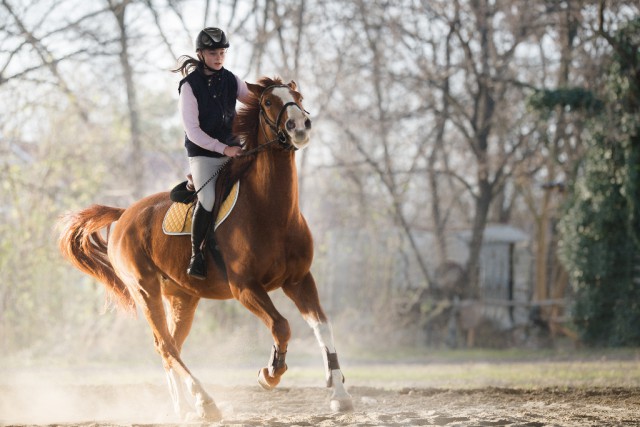 Wenn du dich nicht auf dich und dein Pferd konzentrieren kannst kann es schnell zu Abstimmungsschwierigkeiten zwischen euch kommen. © Shutterstock | Fotokostic