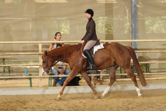 Siegerin in der ZNS O Hunter Under Saddle Klasse: Nicole Berger auf Gamble For Big Cash. © Christian Kellner