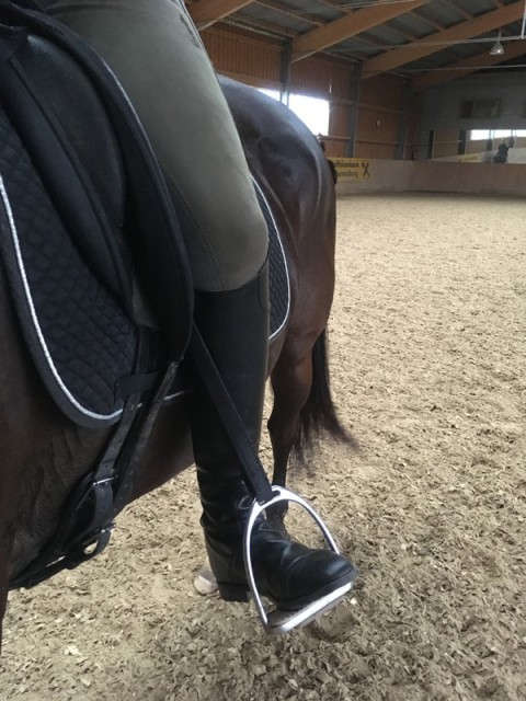 Wenn die Zehenspitzen nach außen gedreht sind, dreht das Knie automatisch mit, dadurch liegt dann die hintere Wade am Pferd anstatt der inneren seitlichen Wadenmuskulatur. © fit 4 riding