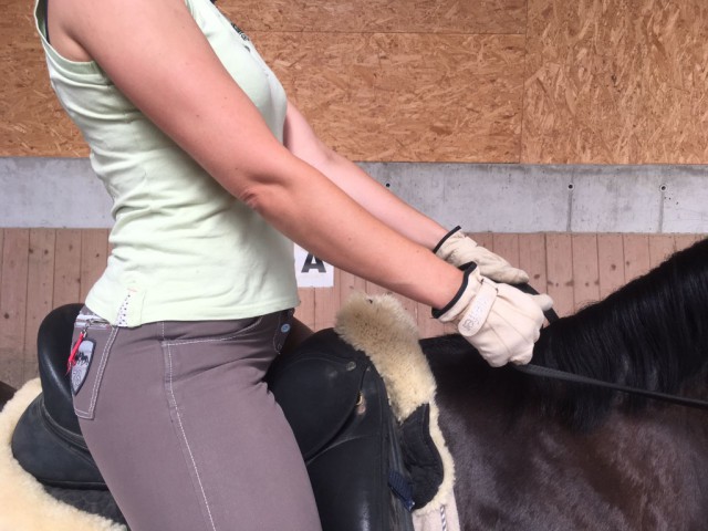Zu gestreckte Ellbogen behindern eine gute Verbindung zum Pferdemaul. © fit 4 riding