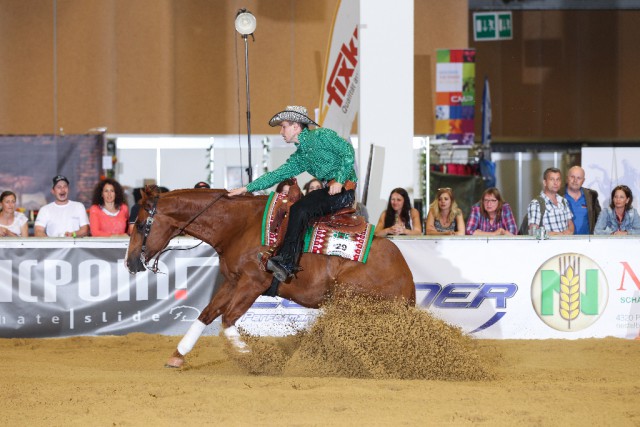 Der Tiroler Klaus Lechner (im Bild auf Tinseltownsmokingun in Wels) will sich für die FEI Europameisterschaft qualifiziernen. © Christian Kellner