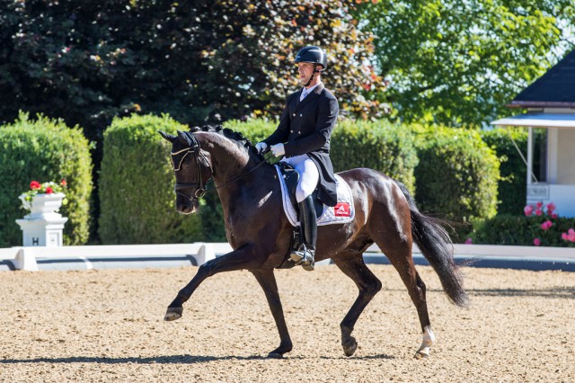 Stefan Lehfellner (OÖ) und Roberto Carlos MT siegten in der Youngster Tour für siebenjährige Pferde überlegen mit 79,125%. © Michael Rzepa 