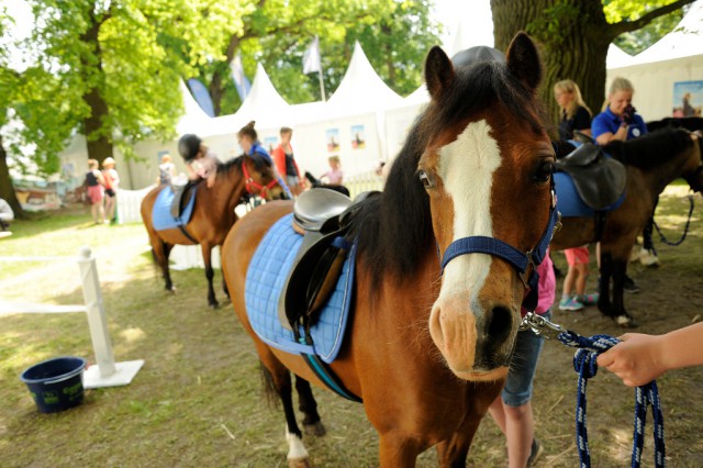 Zu erleben beim Global Jumping Berlin: Der PM-Ponyspaß, präsentiert von Pferde für unsere Kinder e.V. © Isabel Schiffler