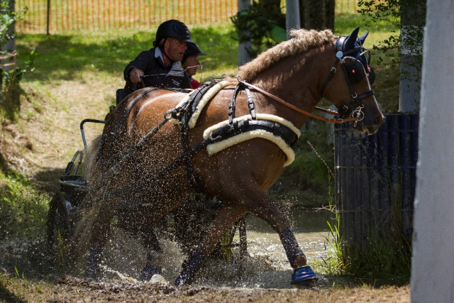 Sieger der Singles 2*: Der Schweizer Leonhard Risch mit Chadow CH. © Marion Berg